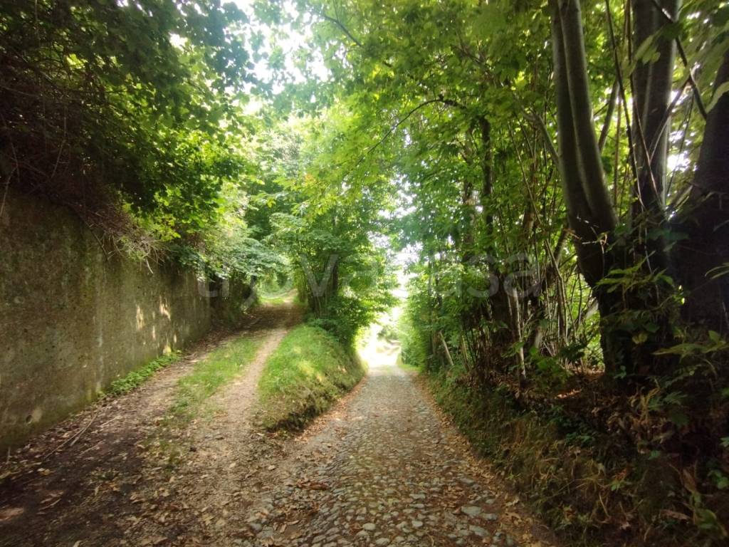 immagine annuncio 13 di 14