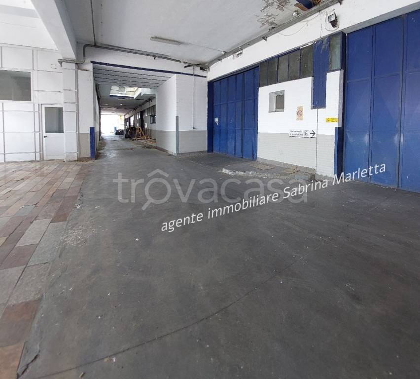 immagine annuncio 1 di 9