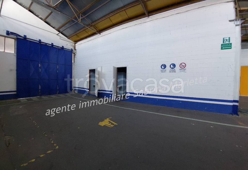 immagine annuncio 3 di 9