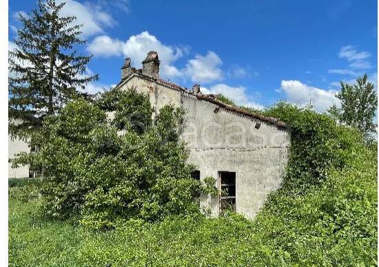 immagine annuncio 6 di 11