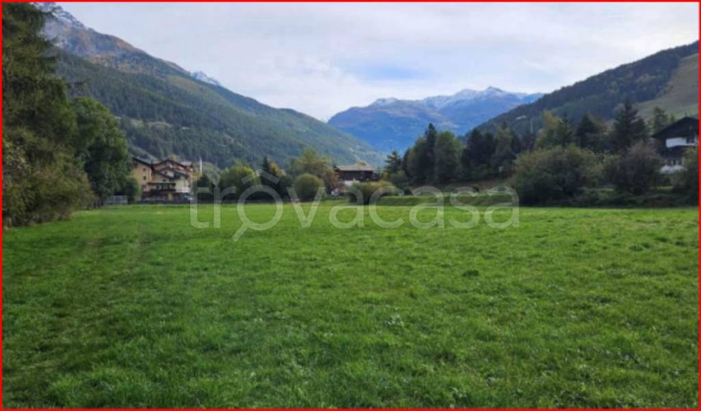 immagine annuncio 4 di 12