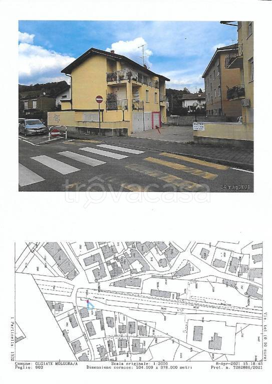 immagine annuncio 11 di 15