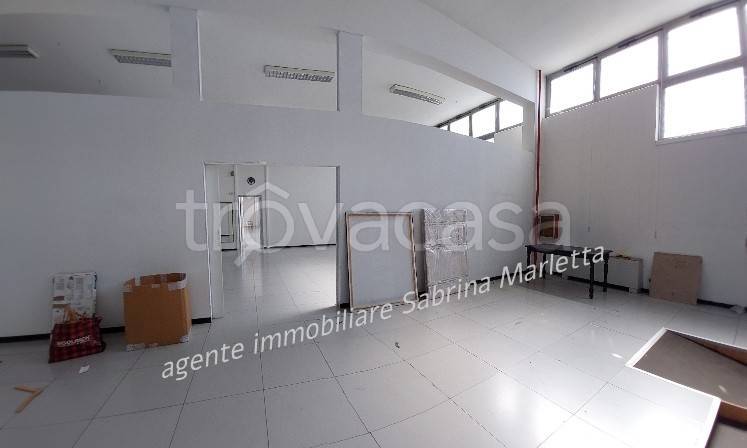 immagine annuncio 8 di 14