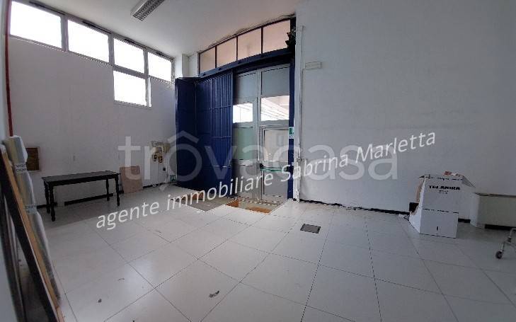 immagine annuncio 9 di 14