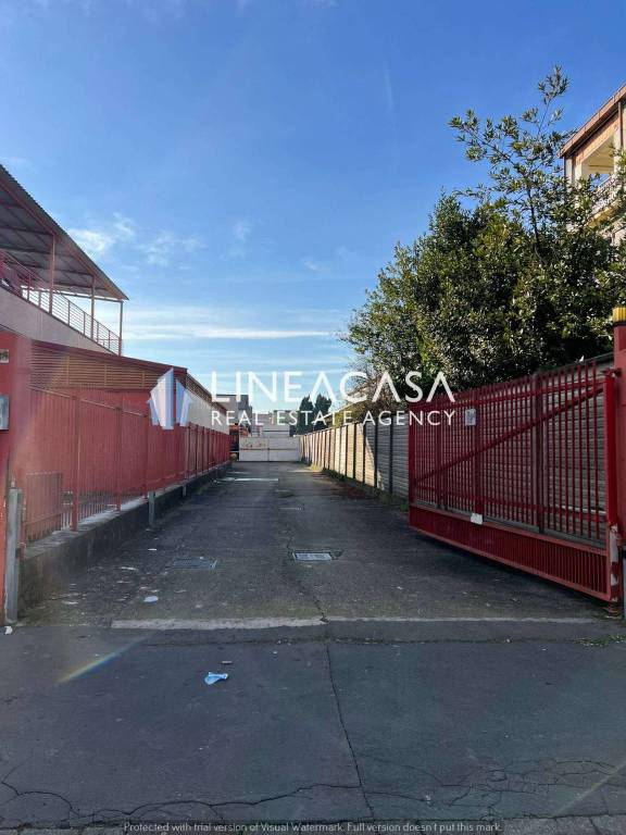 immagine annuncio 2 di 12