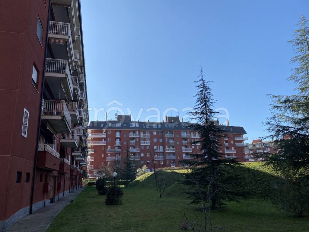 immagine annuncio 1 di 7