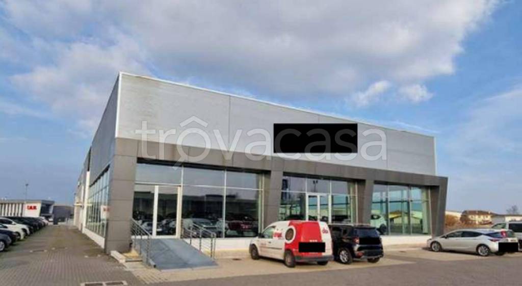 immagine annuncio 2 di 10