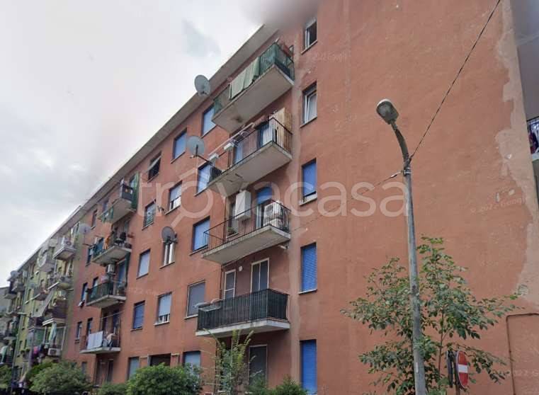 immagine annuncio 3 di 14