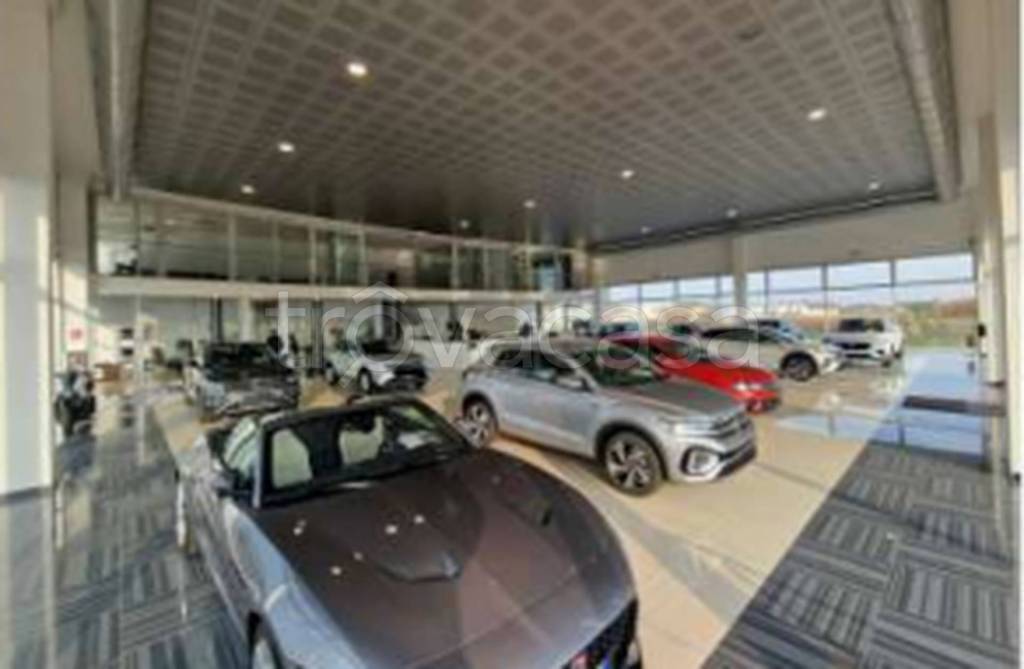 immagine annuncio 6 di 10