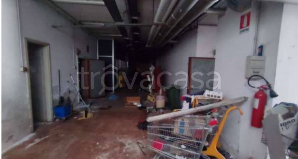 immagine annuncio 7 di 11