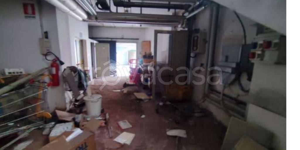 immagine annuncio 8 di 11