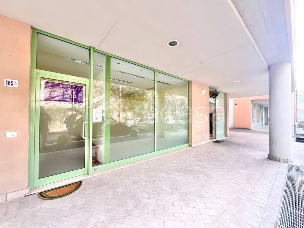 immagine annuncio 13 di 14