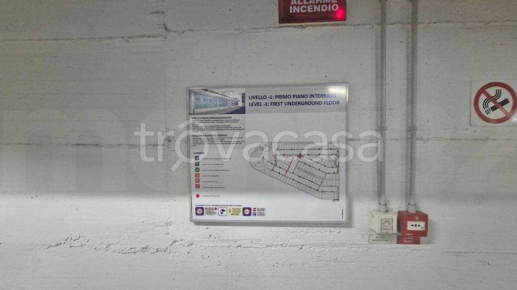 immagine annuncio 4 di 8