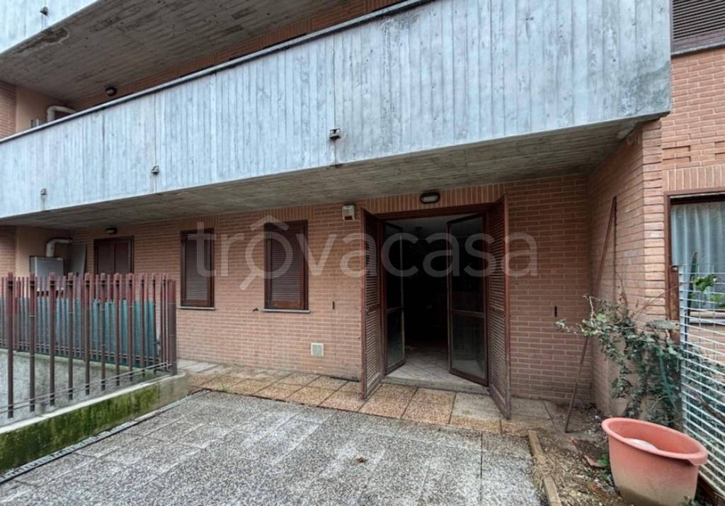 immagine annuncio 3 di 11