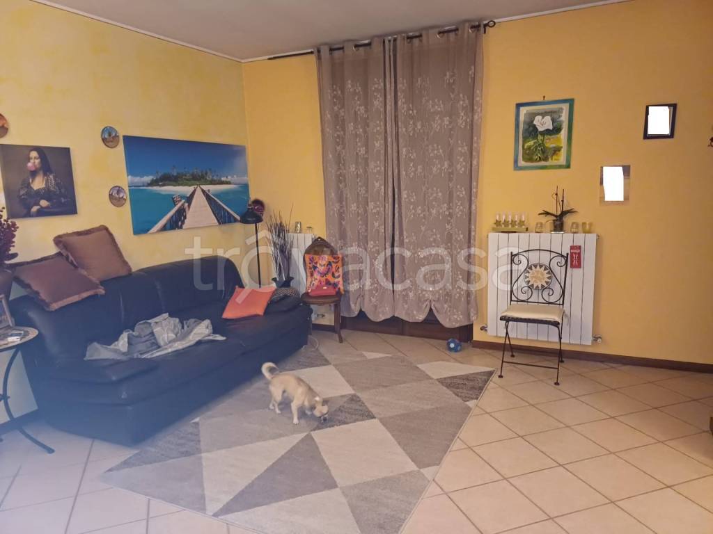 immagine annuncio 5 di 15