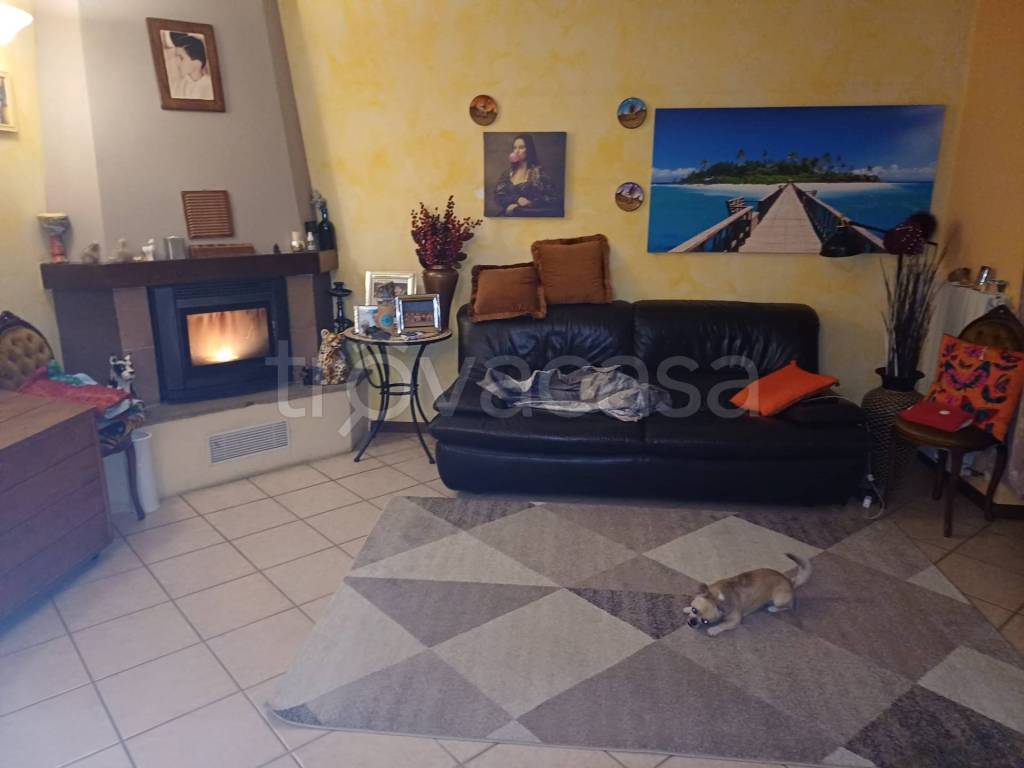 immagine annuncio 6 di 15