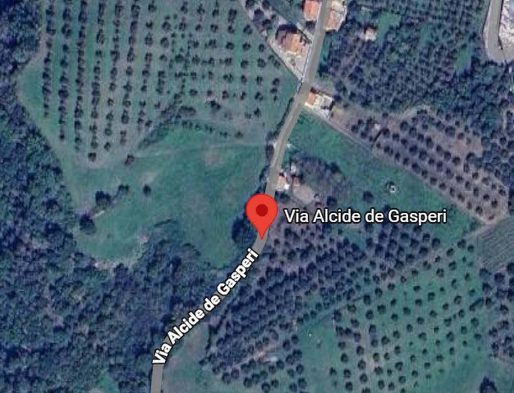 immagine annuncio 4 di 12