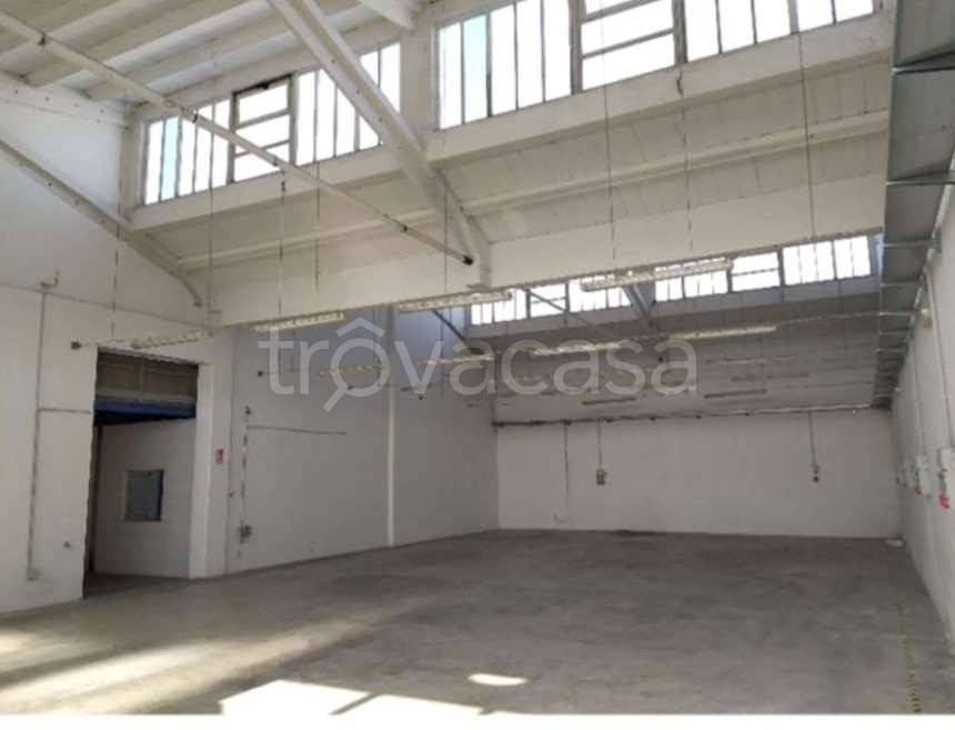 immagine annuncio 2 di 3