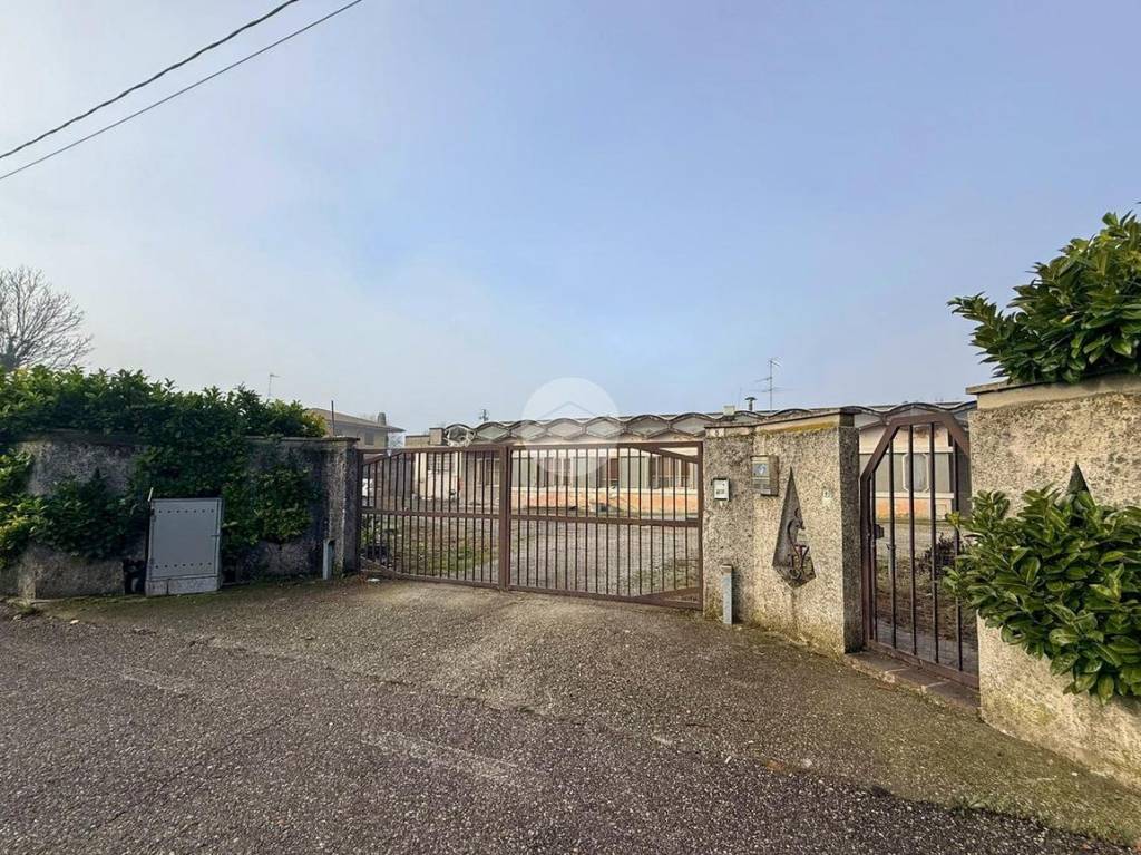 immagine annuncio 4 di 6