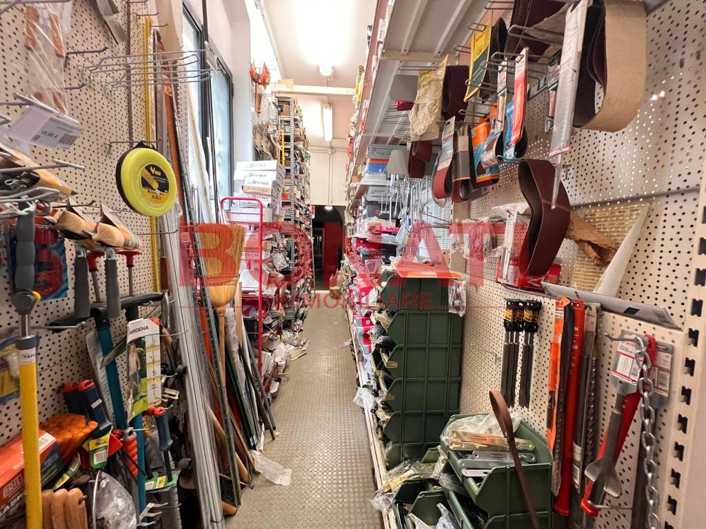 immagine annuncio 11 di 14