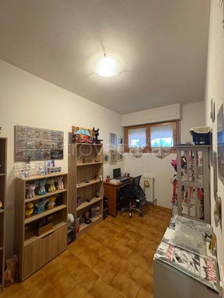 immagine annuncio 9 di 14