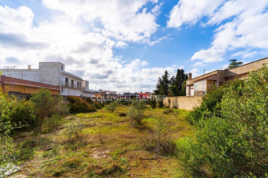 immagine annuncio 7 di 11