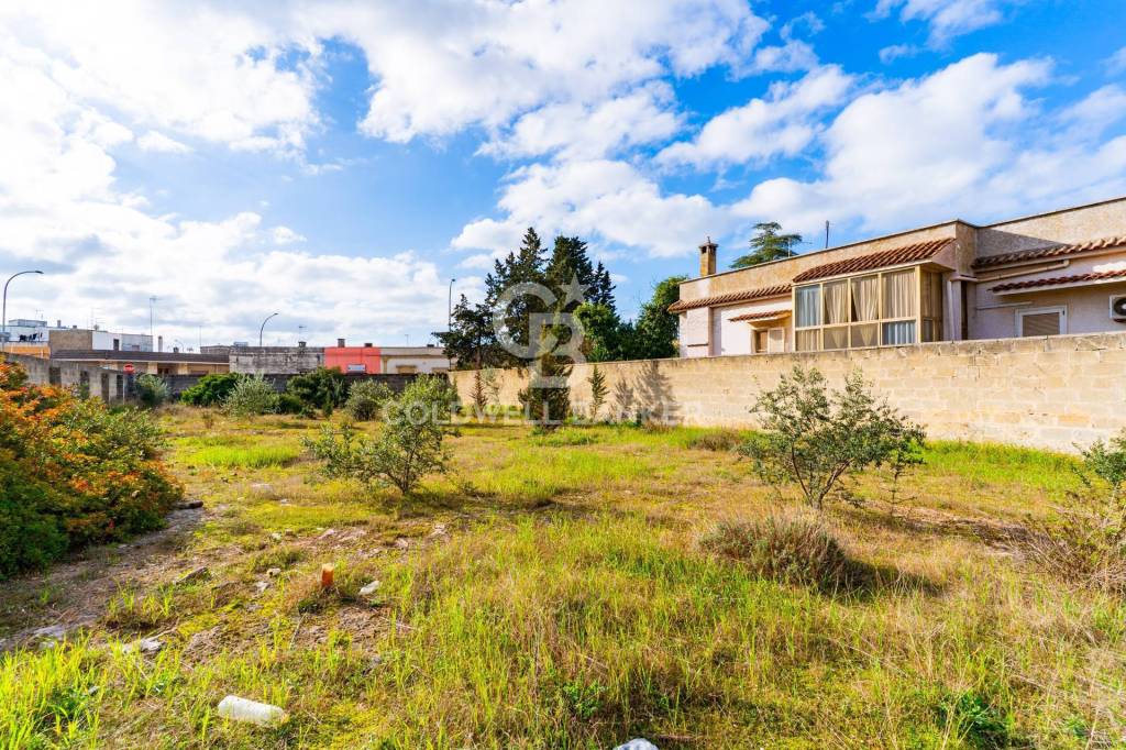 immagine annuncio 9 di 11