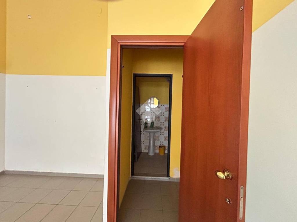 immagine annuncio 4 di 14