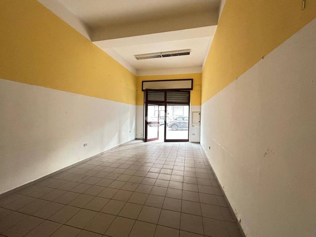 immagine annuncio 6 di 14