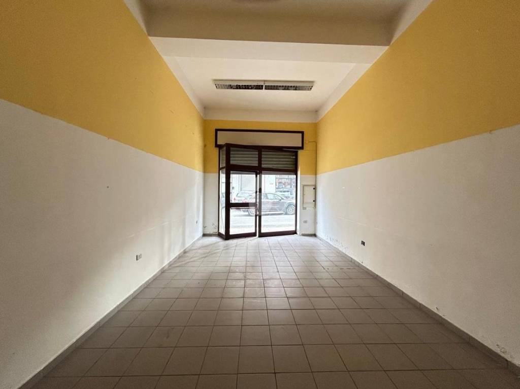 immagine annuncio 7 di 14