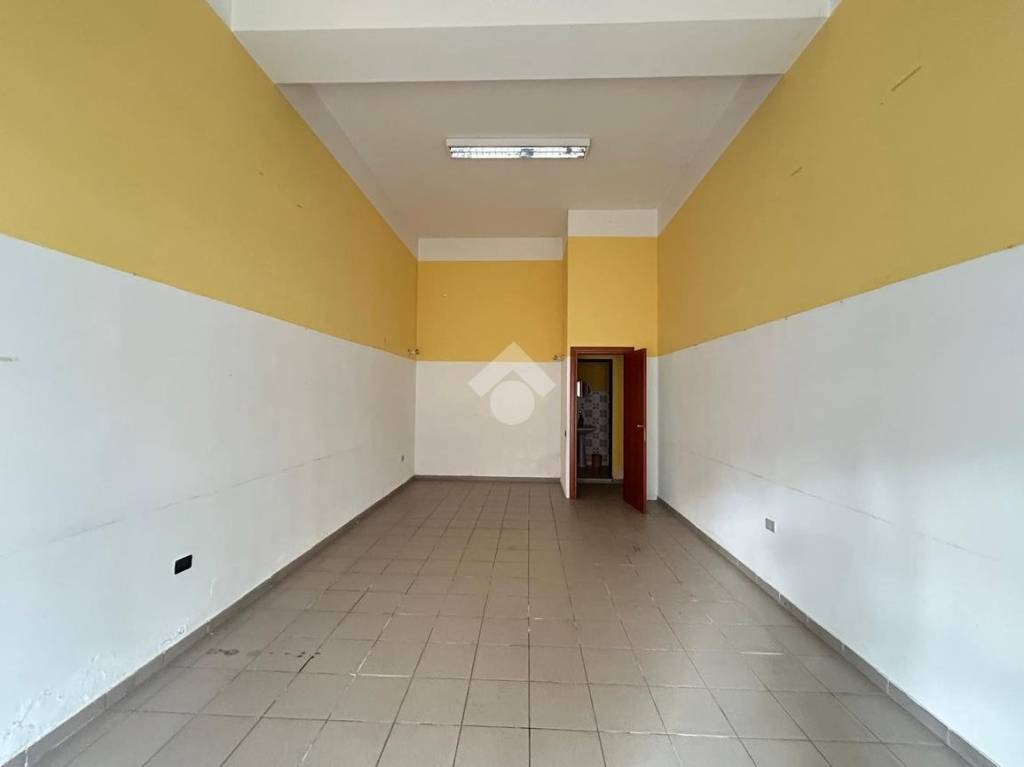 immagine annuncio 9 di 14