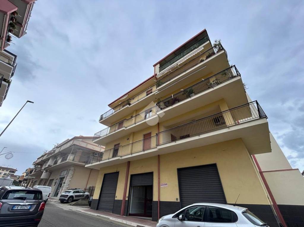 immagine annuncio 12 di 14