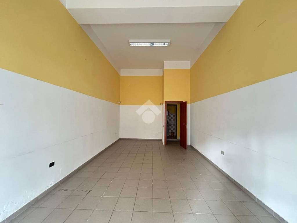 immagine annuncio 10 di 14