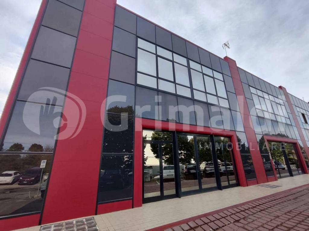 immagine annuncio 6 di 8