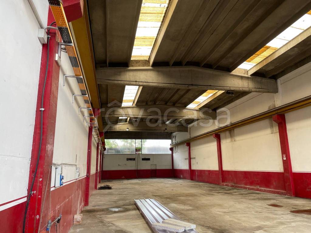 immagine annuncio 6 di 11