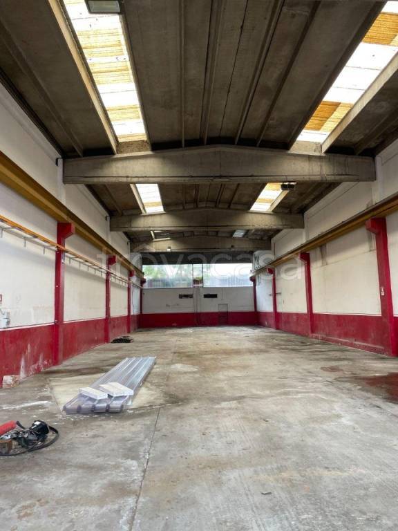 immagine annuncio 3 di 11