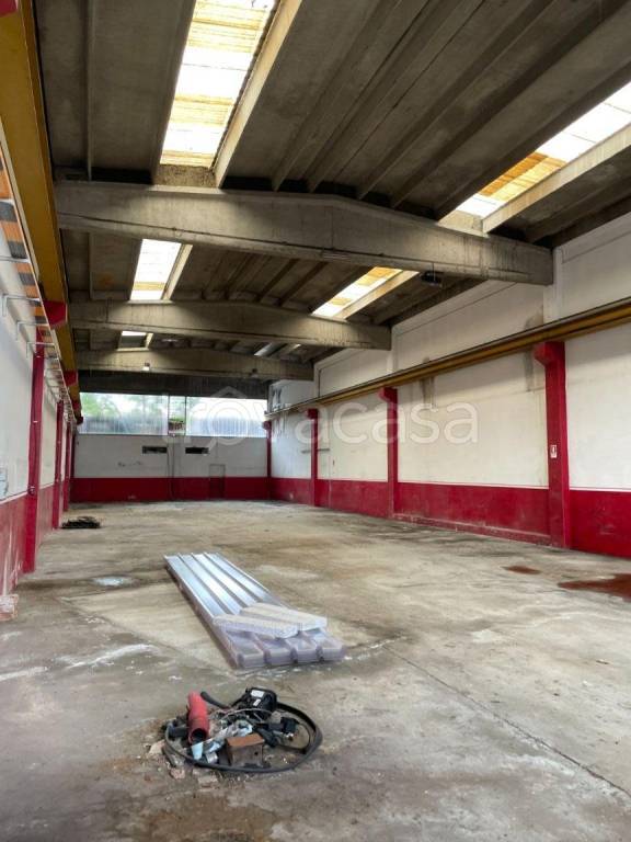 immagine annuncio 4 di 11