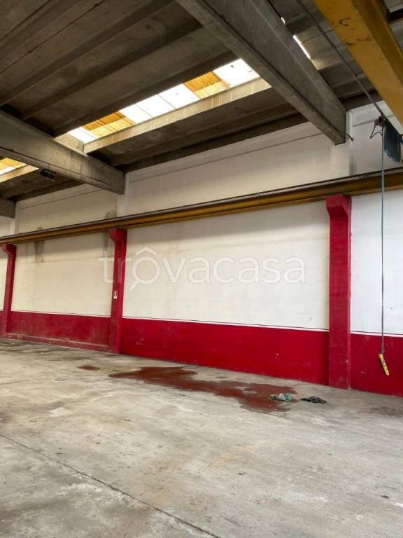 immagine annuncio 5 di 11