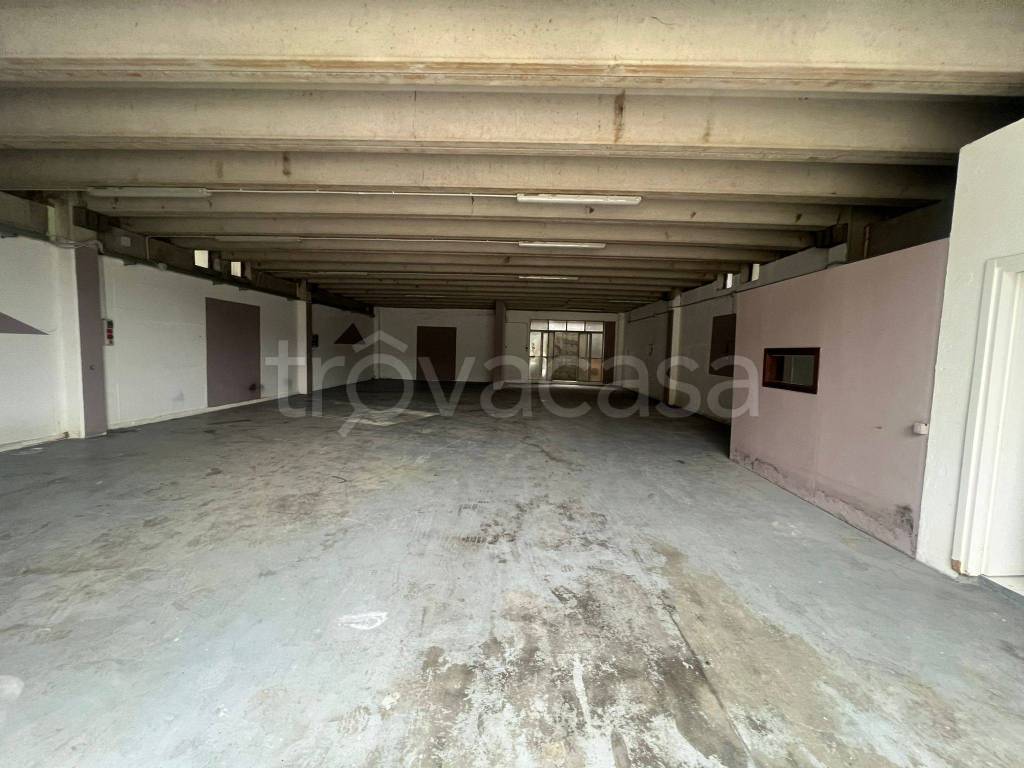 immagine annuncio 11 di 14