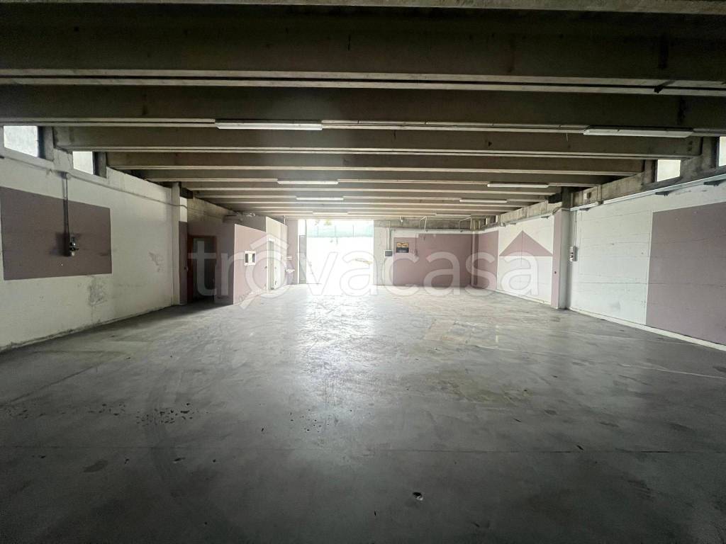 immagine annuncio 7 di 14