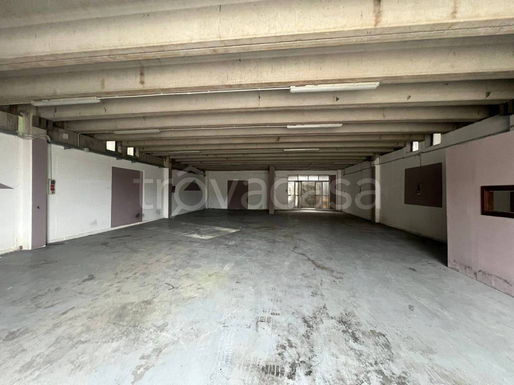 immagine annuncio 12 di 14