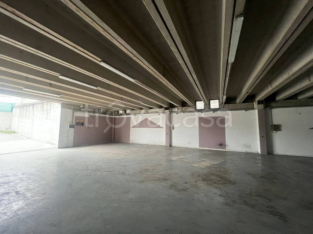 immagine annuncio 9 di 14