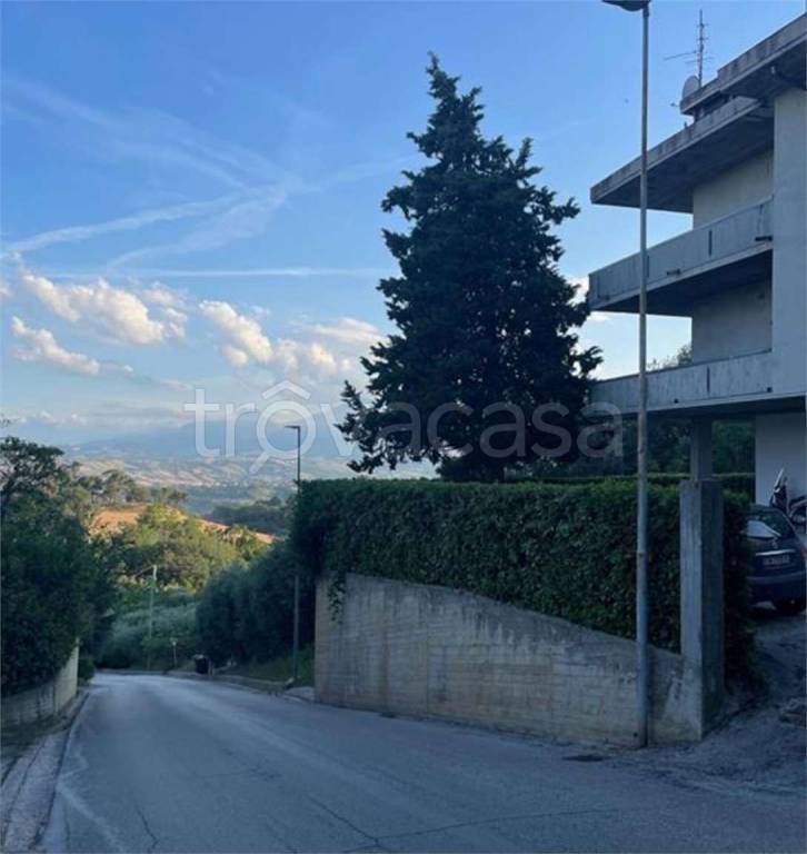 immagine annuncio 12 di 13