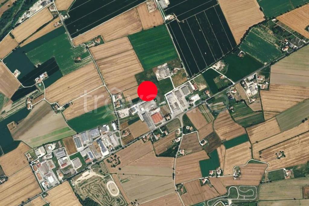 immagine annuncio 3 di 6