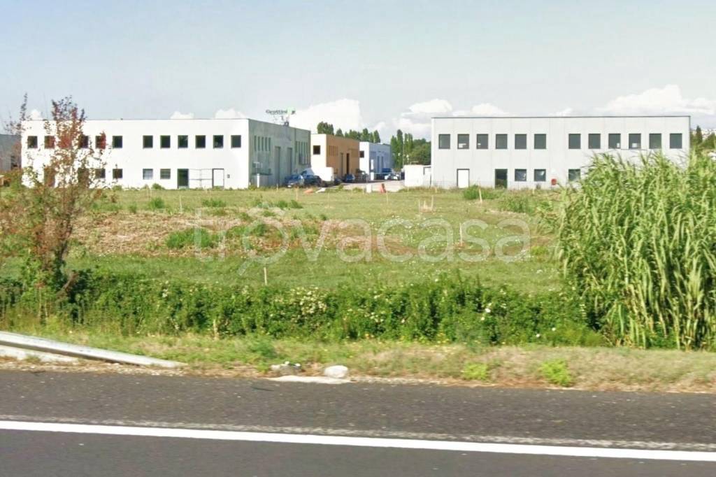 immagine annuncio 2 di 6