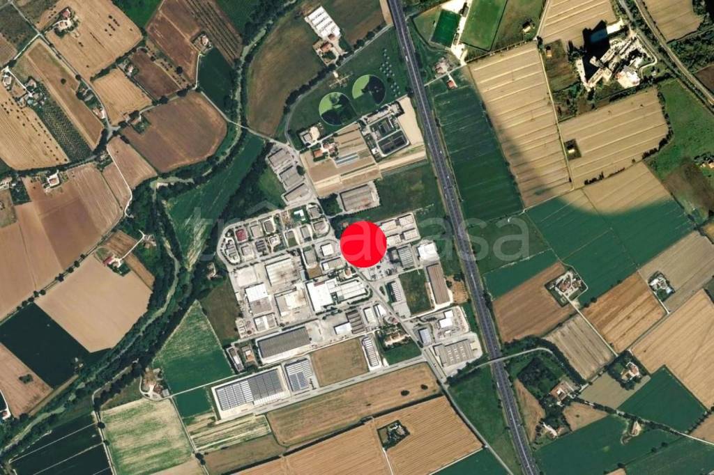 immagine annuncio 3 di 6