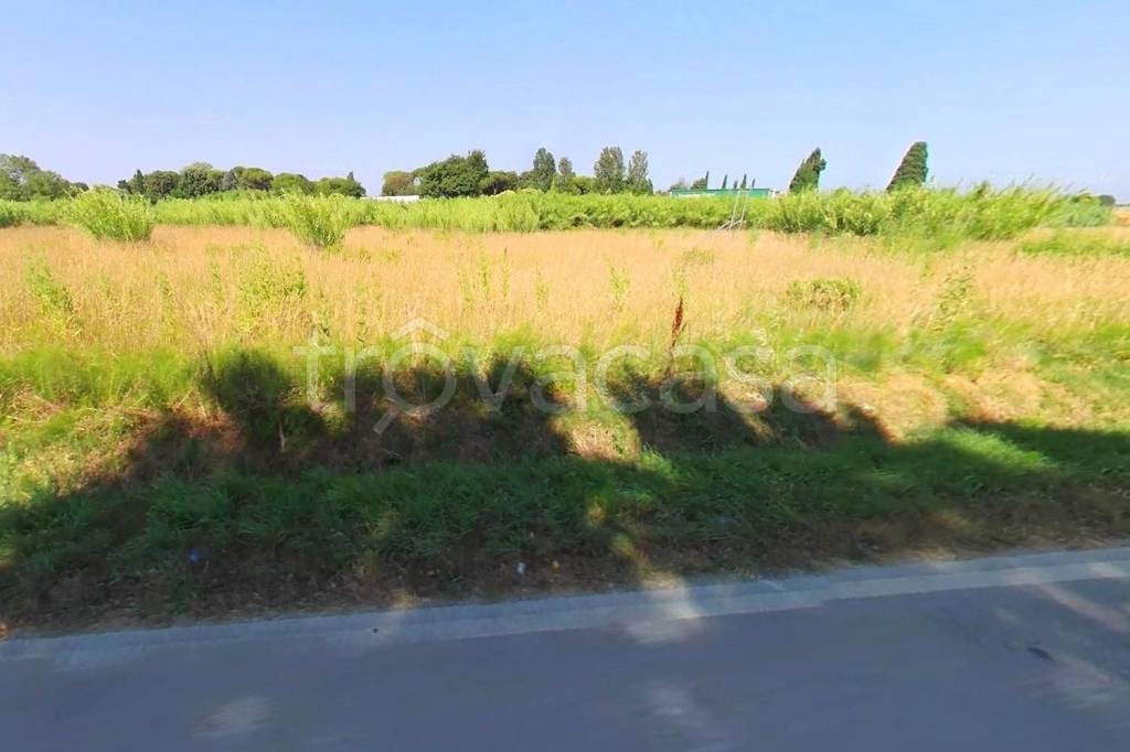 immagine annuncio 1 di 6