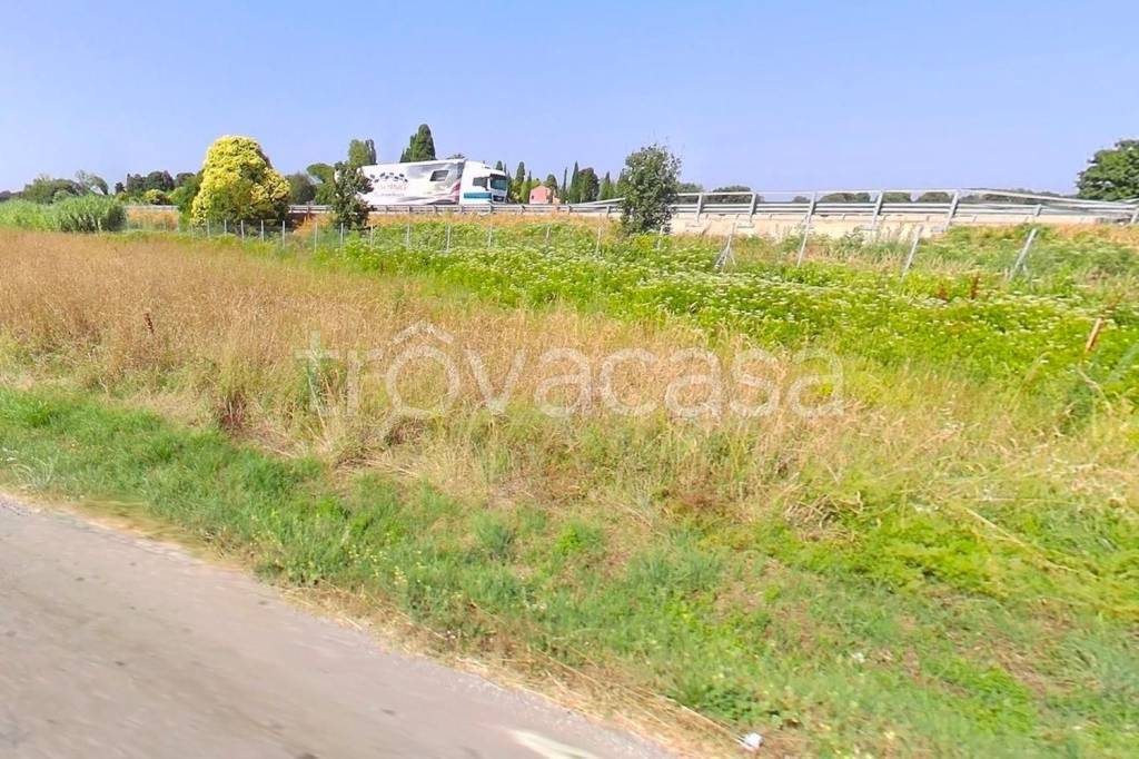 immagine annuncio 2 di 6