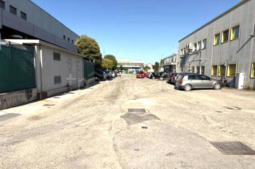 immagine annuncio 1 di 6