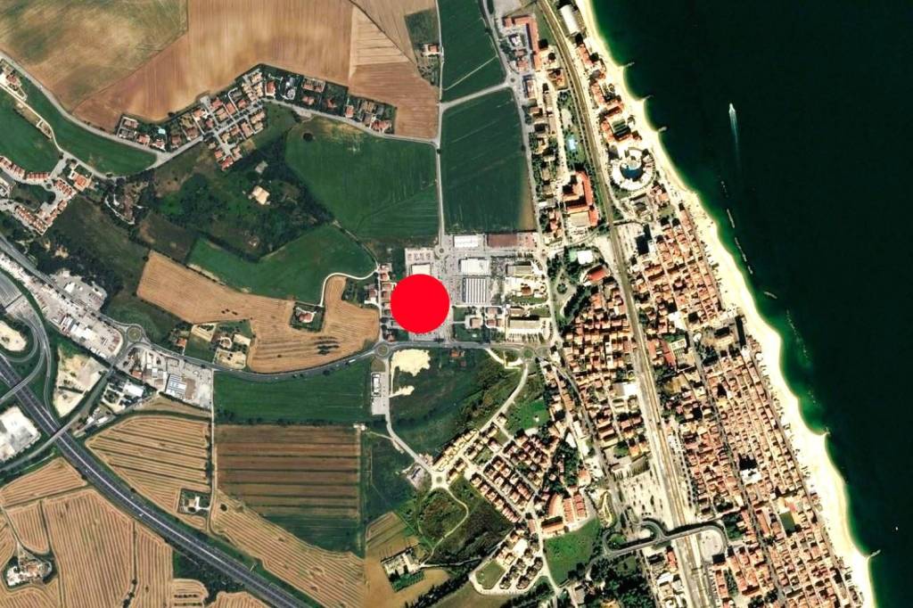 immagine annuncio 3 di 6